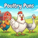 Happy farm birds together