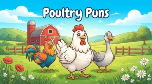 Happy farm birds together