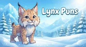 Funny lynx in snow